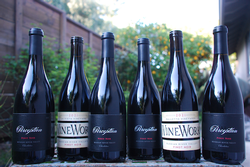 The Pinot Noir 12-bottle Package
